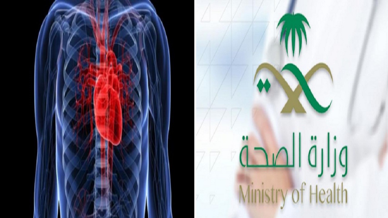 “الصحة” تقدم نصائح هامة للحفاظ على صحة القلب
