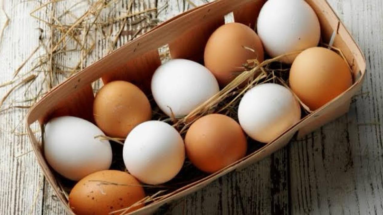 “الغذاء والدواء”: تؤكد عدم وجود اختلاف في القيمة الغذائية بين البيض الأبيض والبني