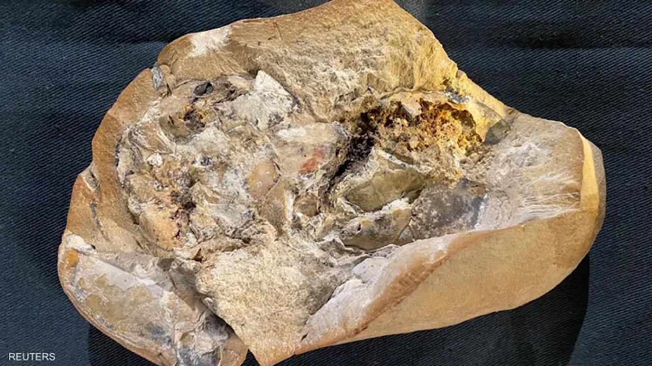 الكشف عن أقدم قلب في العالم ومعرفة تفاصيله