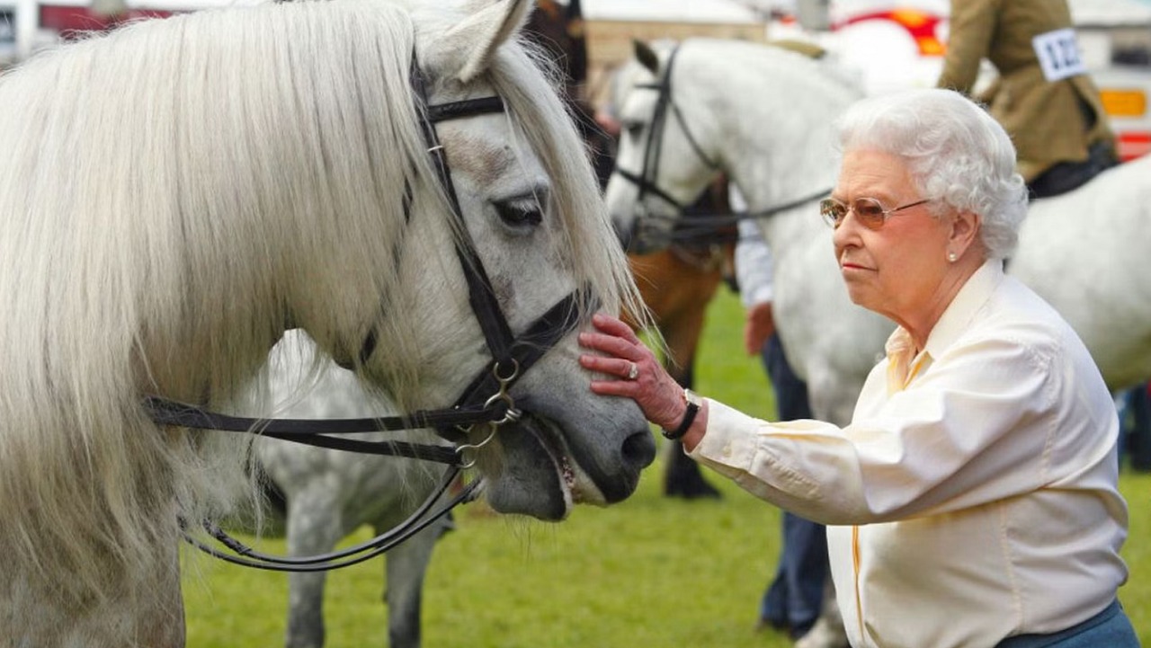 الملك تشارلز يعتزم بيع أحصنة سباق ورثها من والدته