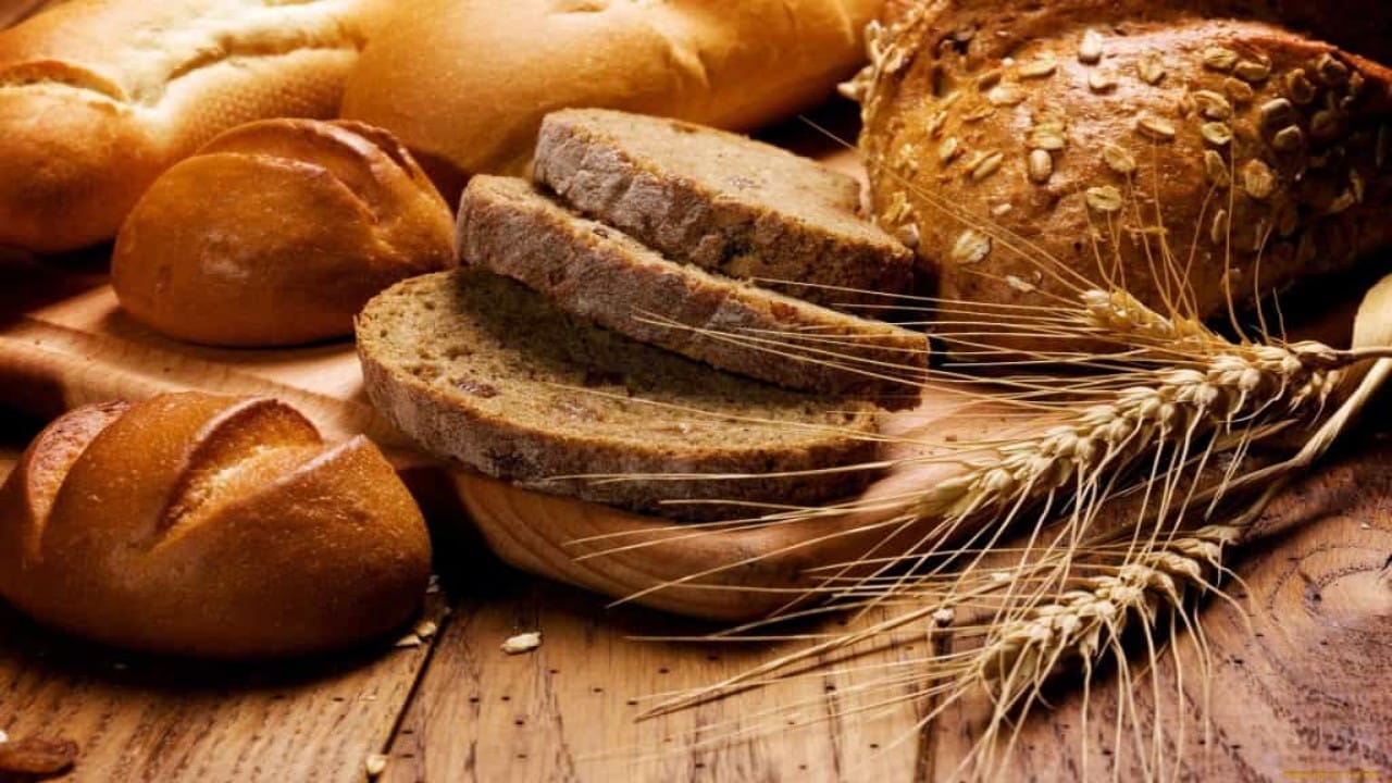 هل تحميص الخبز وتجميده يقلل النشويات ؟.. “الخضيري” يوضح