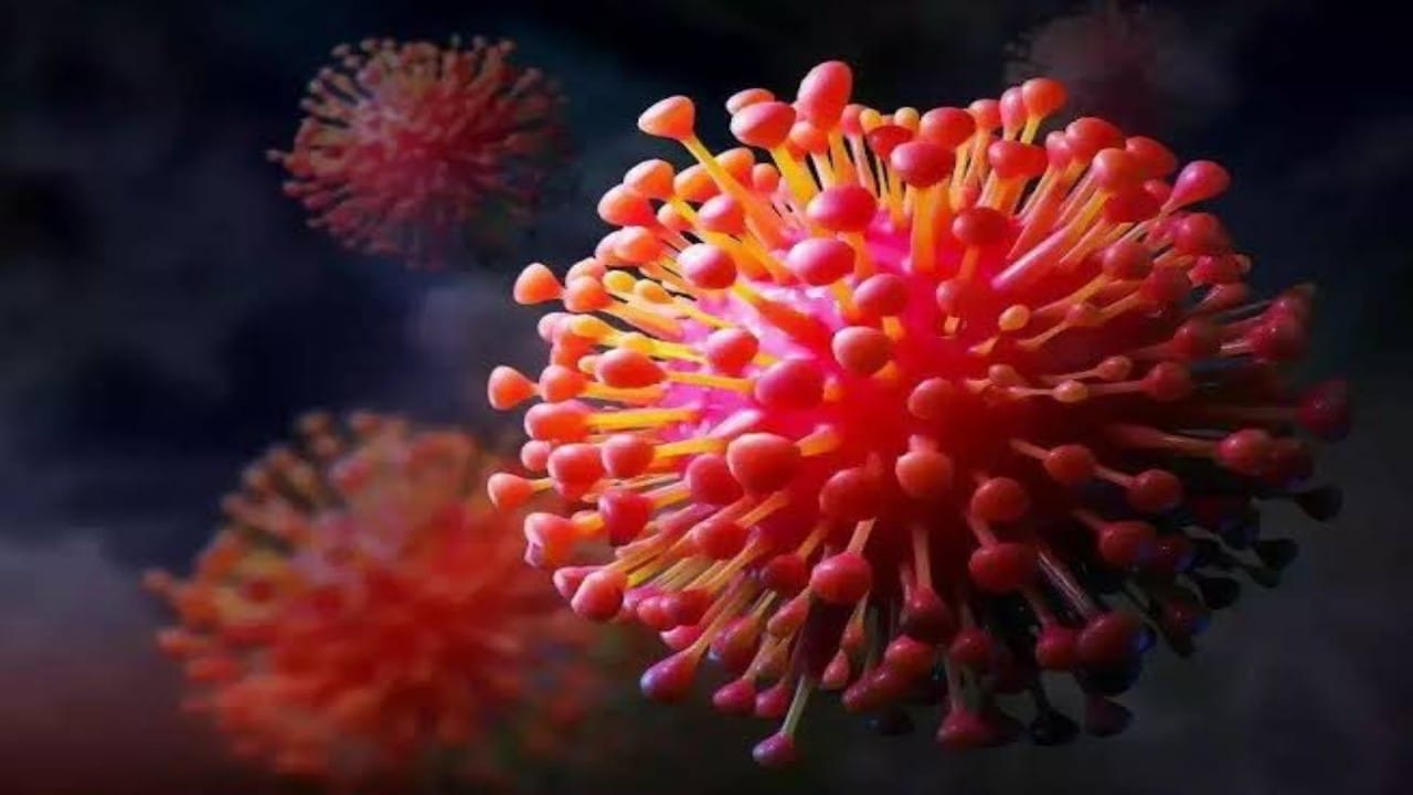  الصحة توجه نصيحة للمواطنين والمقيمين بعد رصد متحور XBB