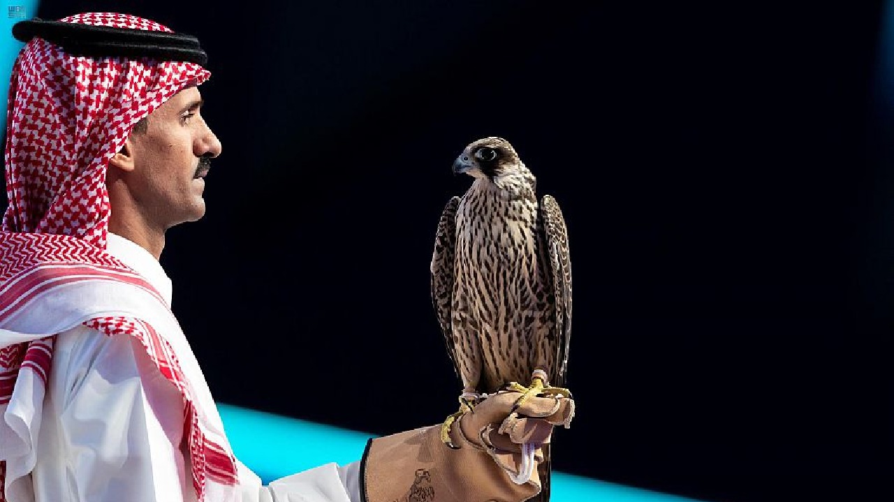 بيع صقر بـ ٢٦٣ ألف ريال في مزاد نادي الصقور السعودي