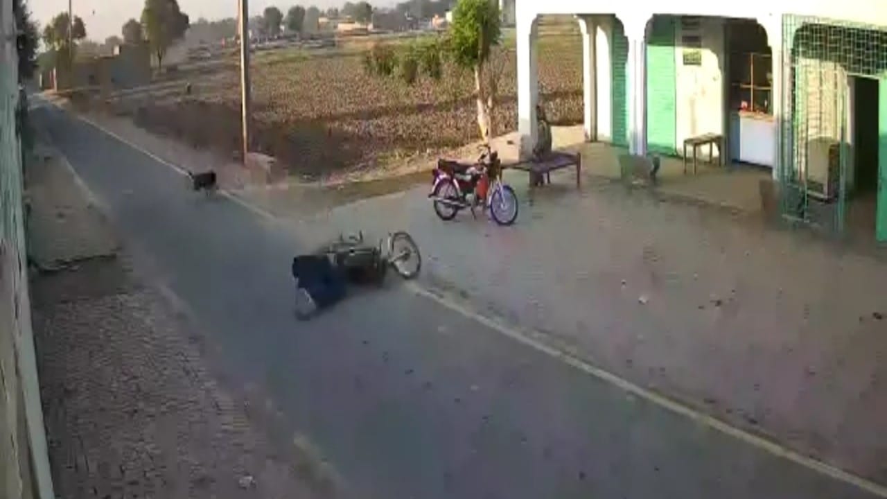 بالفيديو.. نسر يهاجم سائق دراجة نارية على الطريق