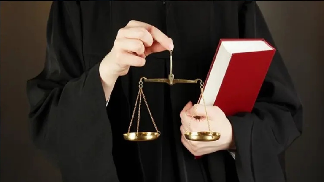 بالفيديو .. هيئة المحامين توضح مصير الشكوى ضد المحامين