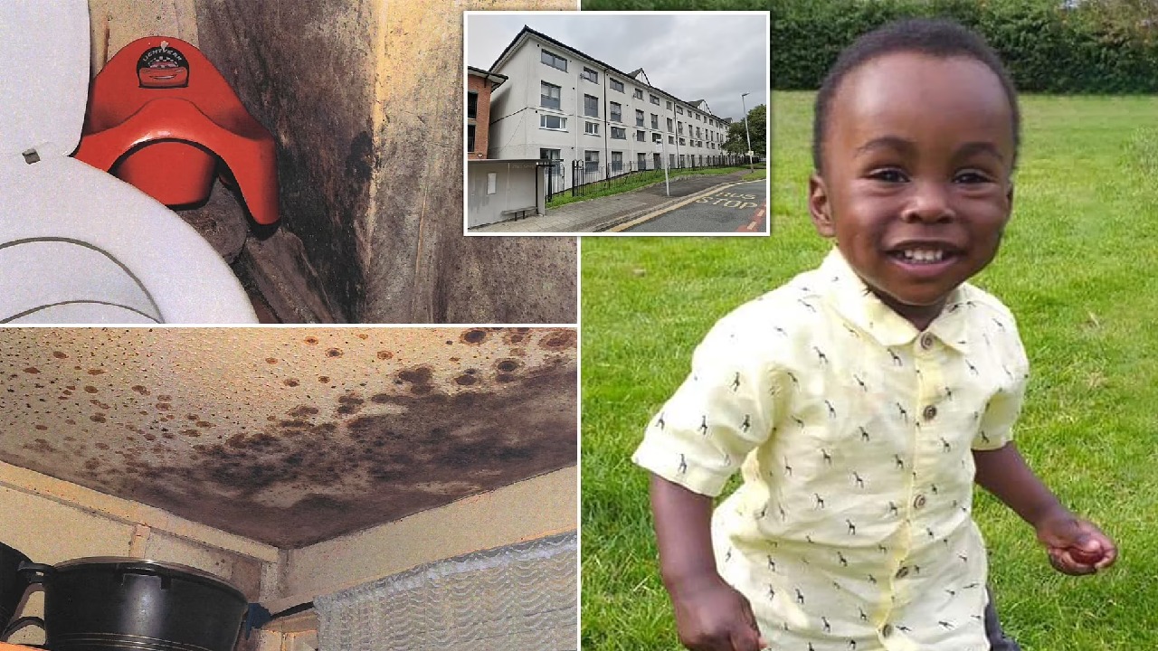 مصرع طفل سوداني عاش في شقة مليئة بالعفن في بريطانيا