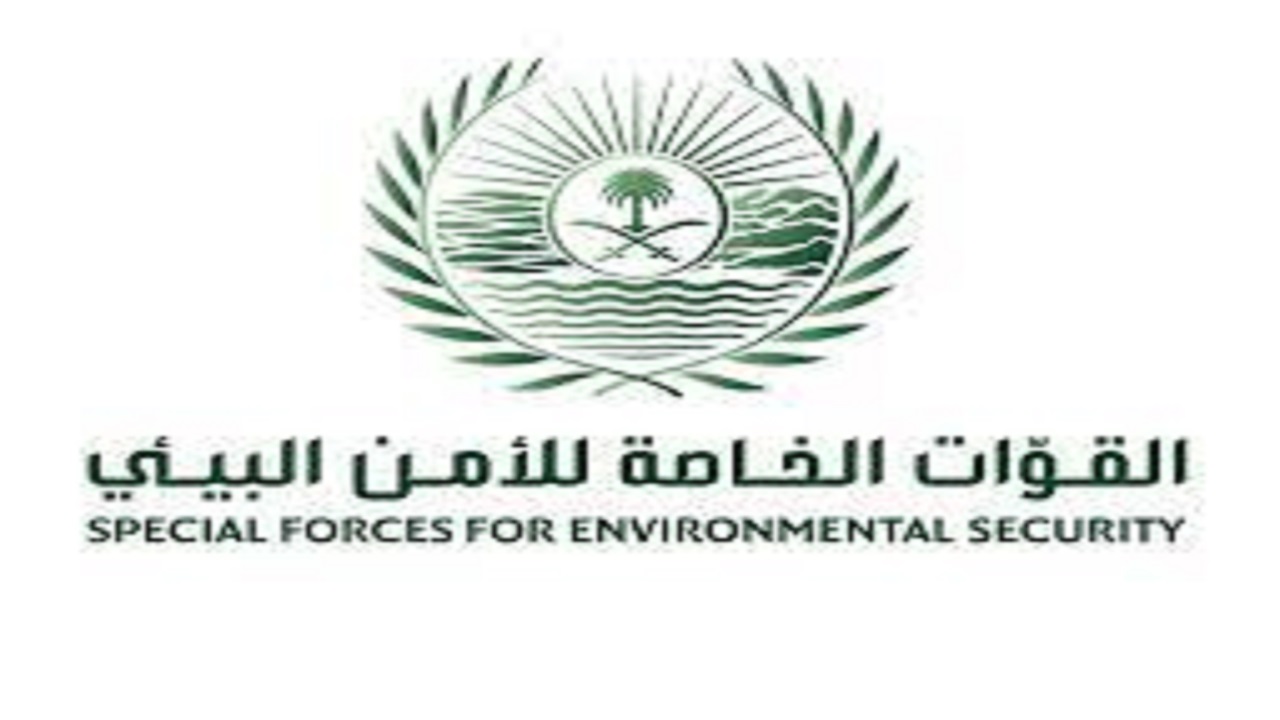 ضبط 19 مخالفًا لنظام البيئة في الرياض