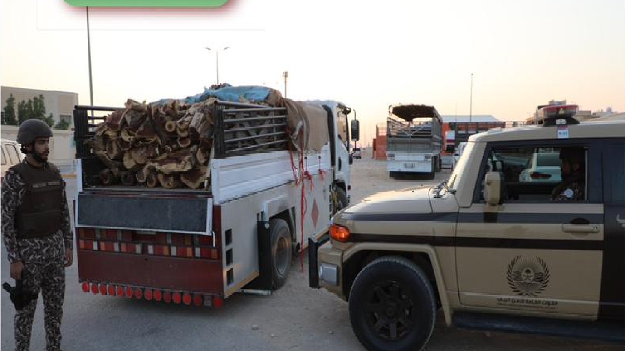 ضبط 18 مخالفًا لنقلهم وبيعهم حطبًا وفحمًا محليين