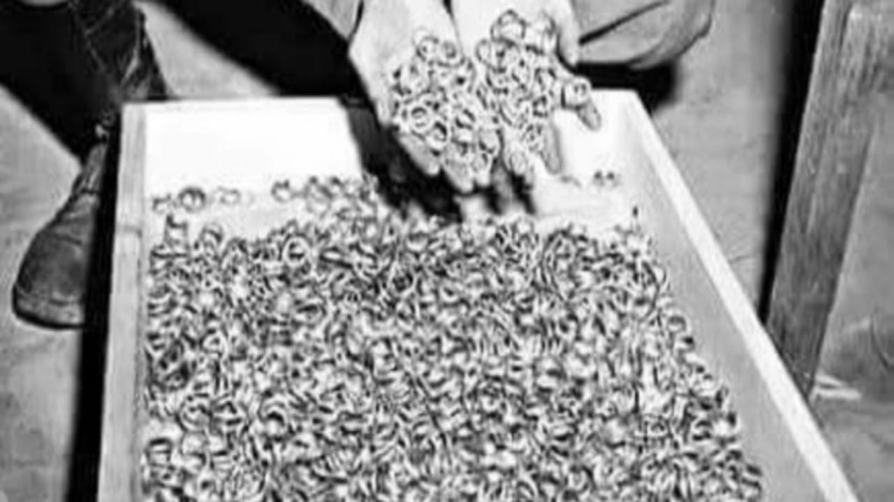 شاهد.. صورة نادرة لخواتم الخطوبة المنزوعة من أصابع القتلـى في الحرب العالمية الثانية