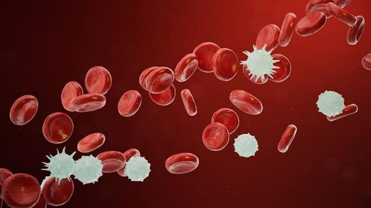 تطوير طريقة ابتكارية لتشخيص سرطان الدم