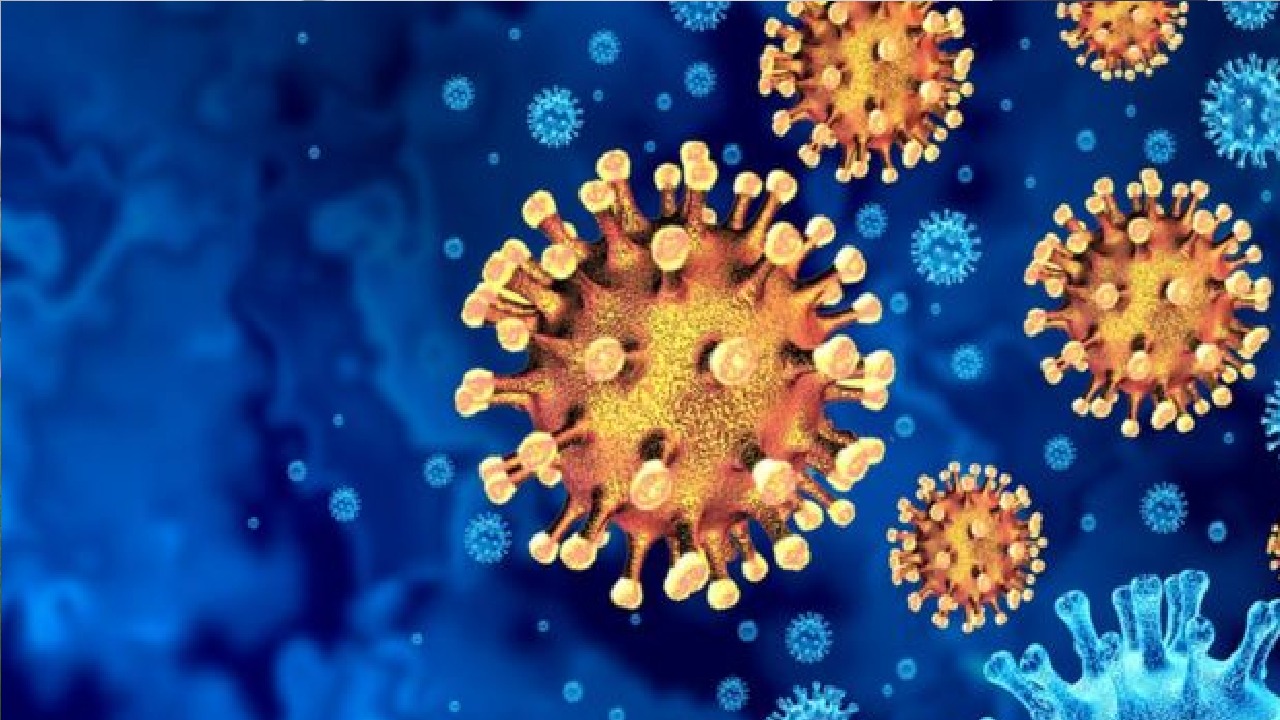 استشاري: قدرة بقاء الفيروسات في فصل الشتاء تكون أطول