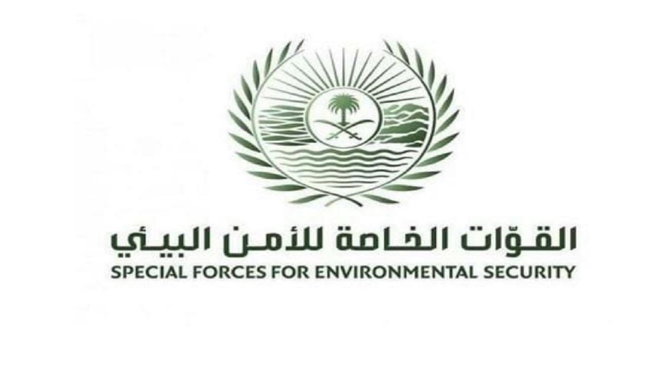 القوات الخاصة للأمن البيئي تضبط 31 مخالفًا لنظام البيئة لإشعالهم النار في المناطق المحمية