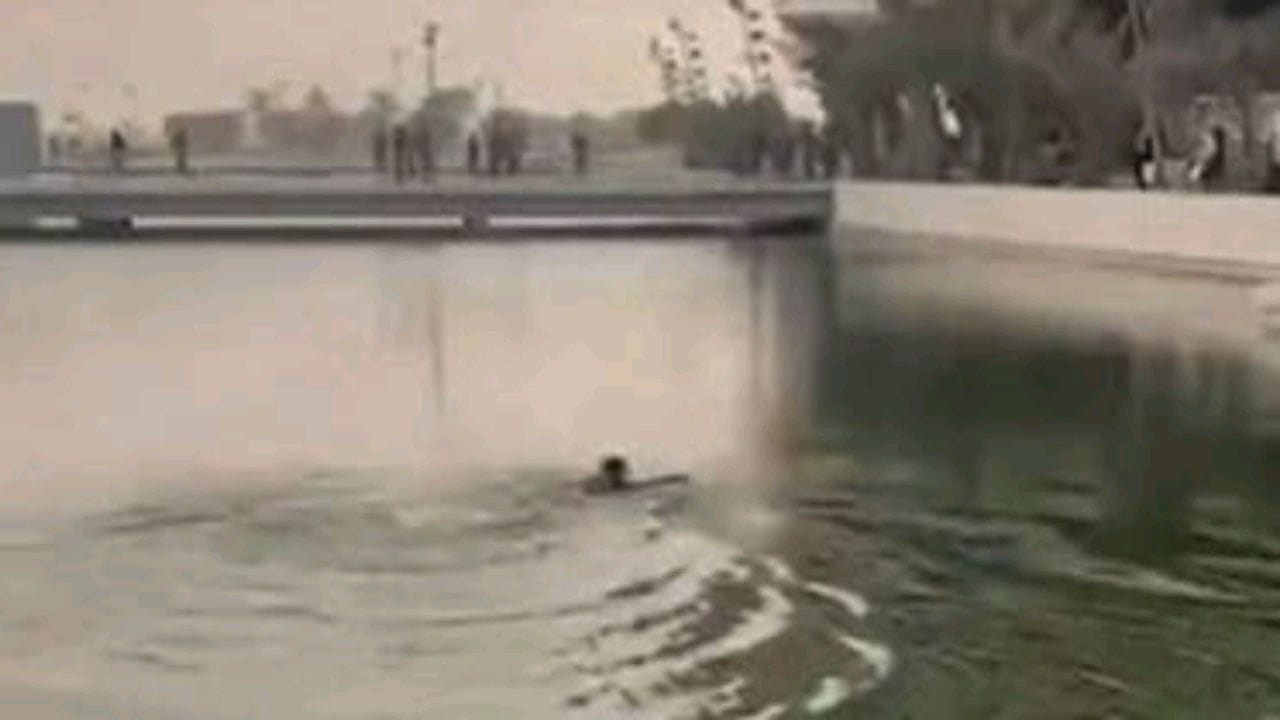 بالفيديو.. مشجع عراقي يسبح بجذع نخلة لدخول ملعب البصرة
