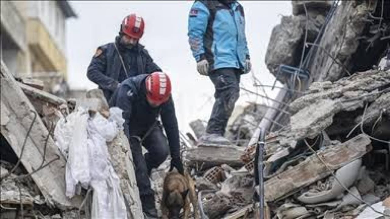 مدرب يكشف سبب الاستعانة بالكلاب في البحث عن الناجين من الزلزال