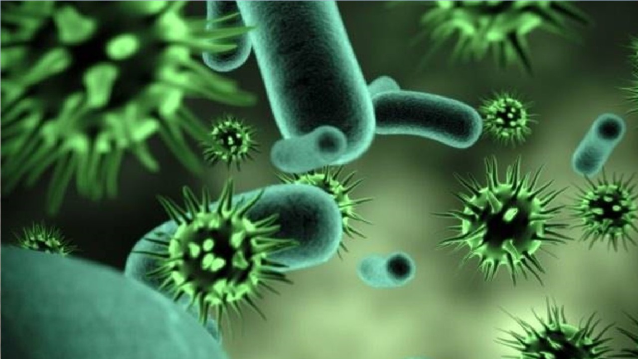 الفرق بين فيروس “ماربورغ” والإنفلوانزا الموسمية