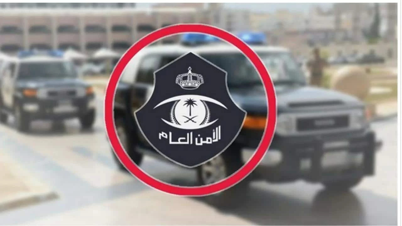 بالفيديو.. القبض على منفذي عدد من الجرائم بمختلف مناطق المملكة