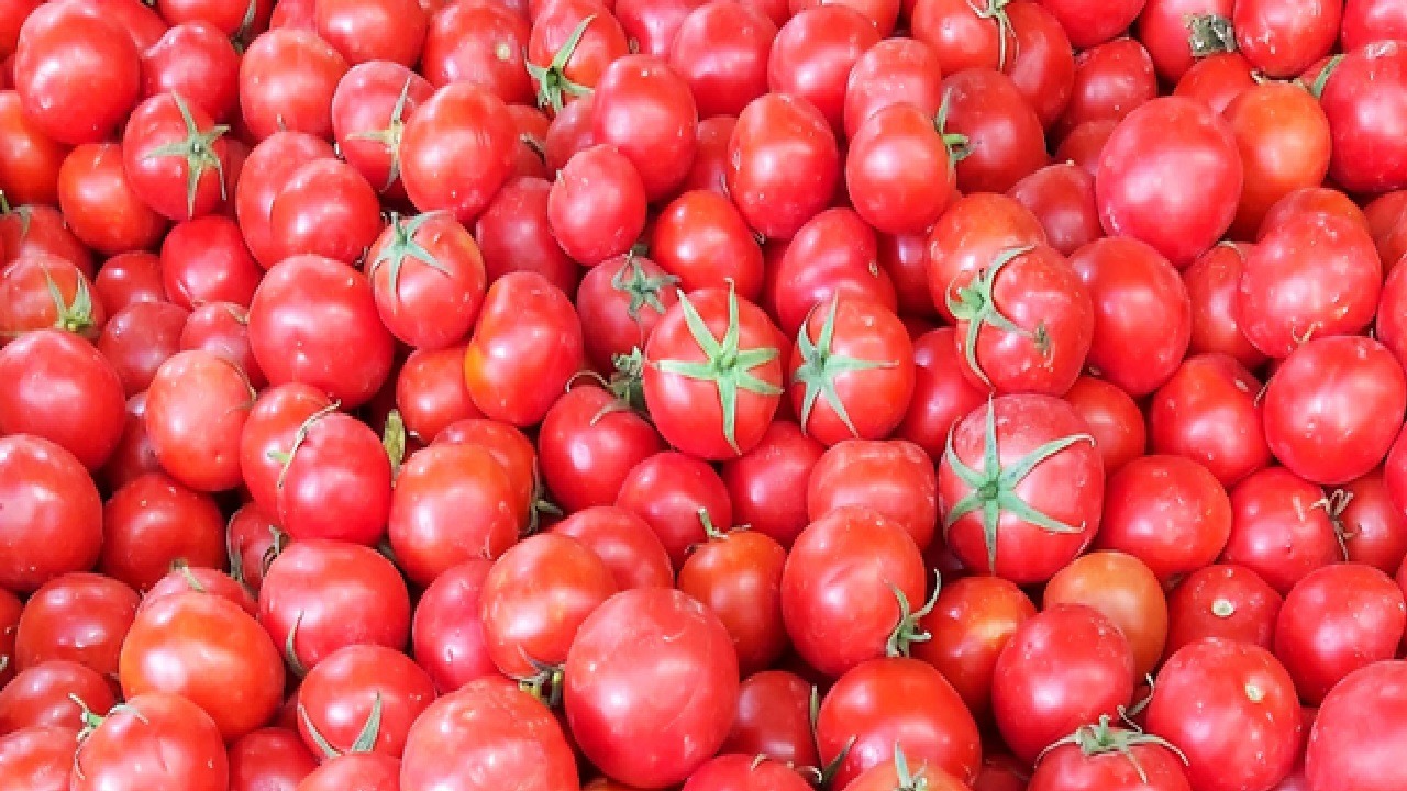 ارتفاع في أسعار الطماطم والبصل بنسبة 50 % في الدمام