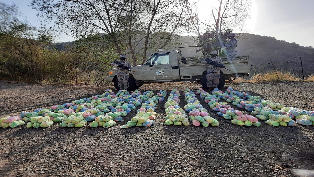 إحباط تهريب 52 طنًا من القات المخدر و 1.5 طن من مادة الحشيش المخدر(فيديو)