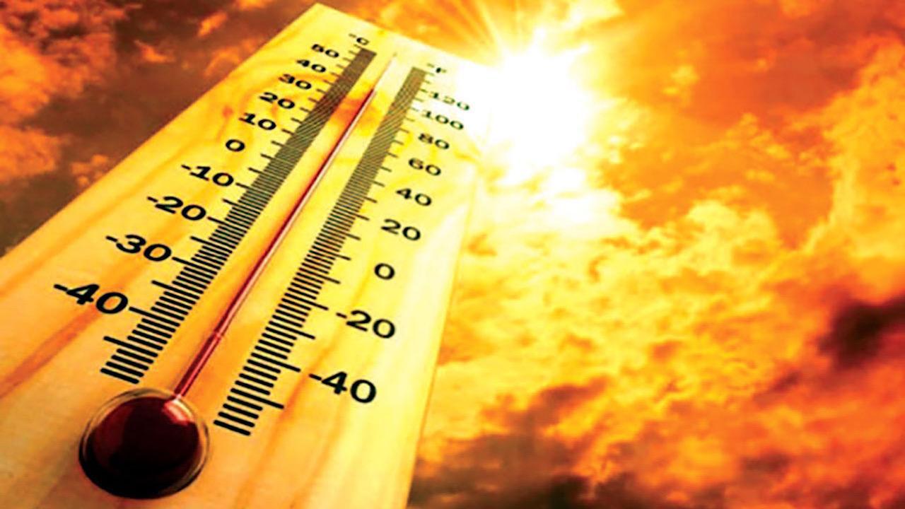 مكة الأعلى حرارة في المملكة بـ 38 مئوية وطريف الأقل بـ 14