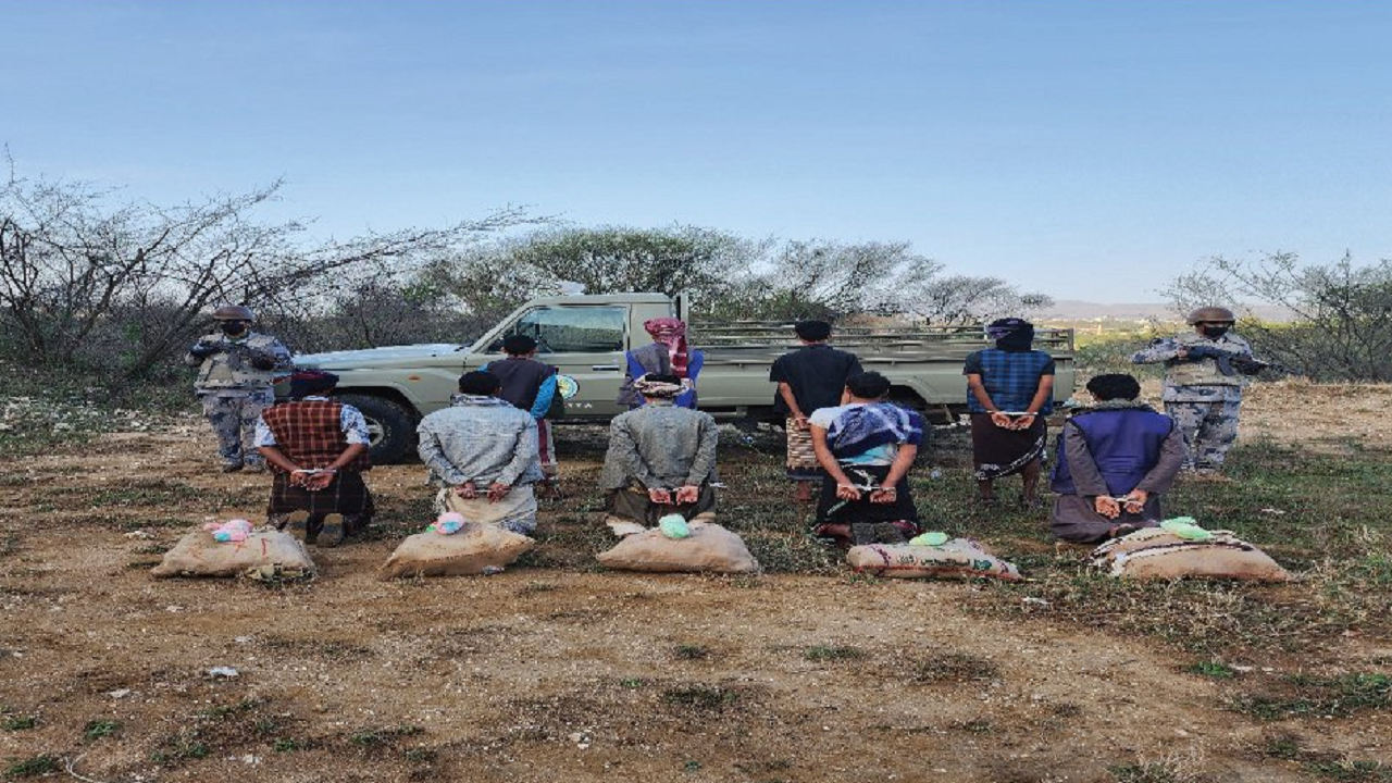 القبض على 9 مخالفين لنظام أمن الحدود لمحاولتهم تهريب نبات القات المخدر بجازان