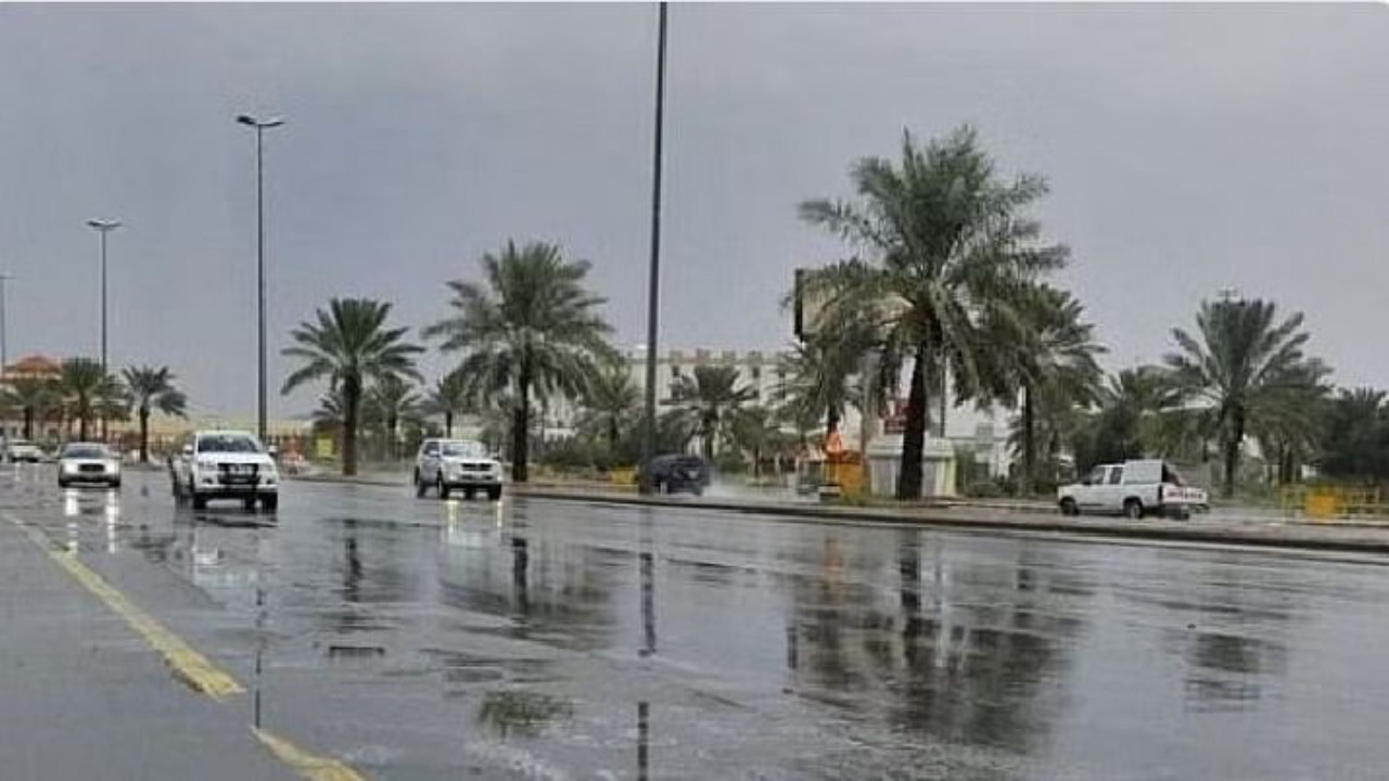 العقيل: استمرار هطول الأمطار على مناطق المملكة من الثلاثاء إلى الخميس.. فيديو