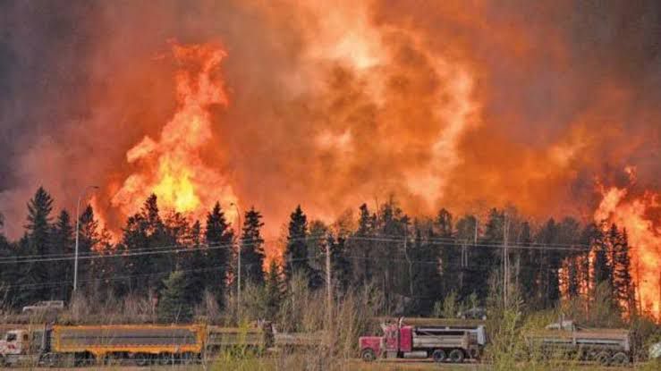 حرائق الغابات تشتعل في كندا والسلطات تعلن حالة الطوارئ