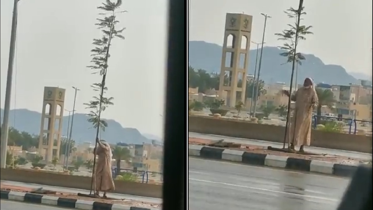 مواطن يعيد شجرة إلى مكانها بعد سقوطها جراء الأمطار بمحايل (فيديو)