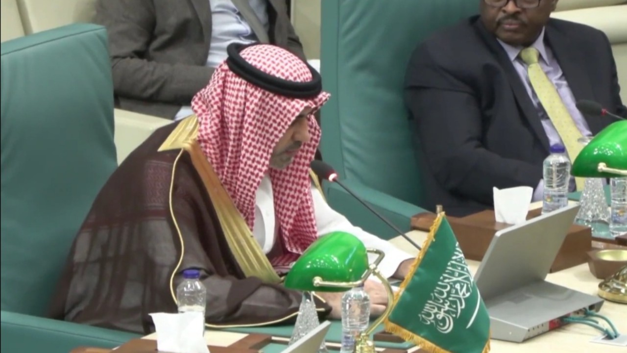 نائب المندوب السعودي لدى الجامعة العربية: المملكة تجدد دعوتها لوقف القتال في السودان