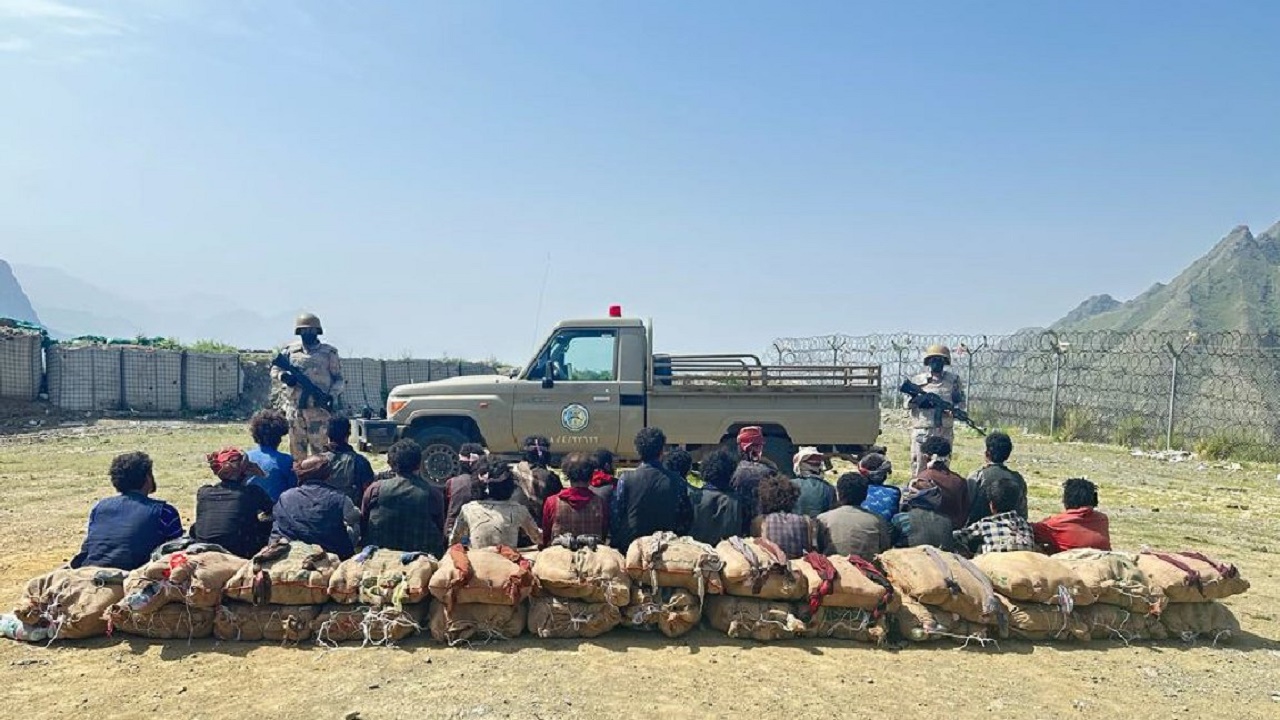 القبض على 25 مخالفاً لمحاولتهم تهريب 375 كيلوجرامًا من نبات القات المخدر بجازان