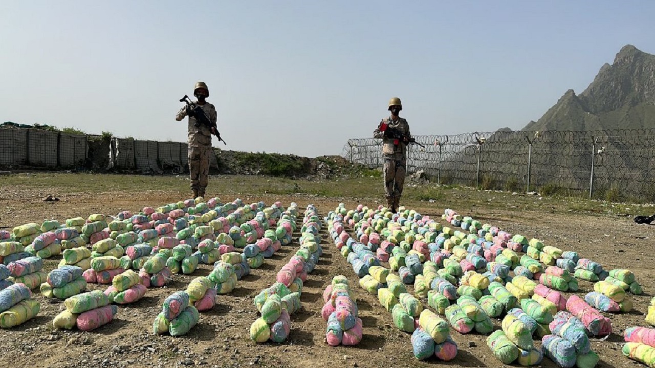 إحباط محاولة تهريب 150 كيلوجرامًا من نبات القات المخدر بجازان