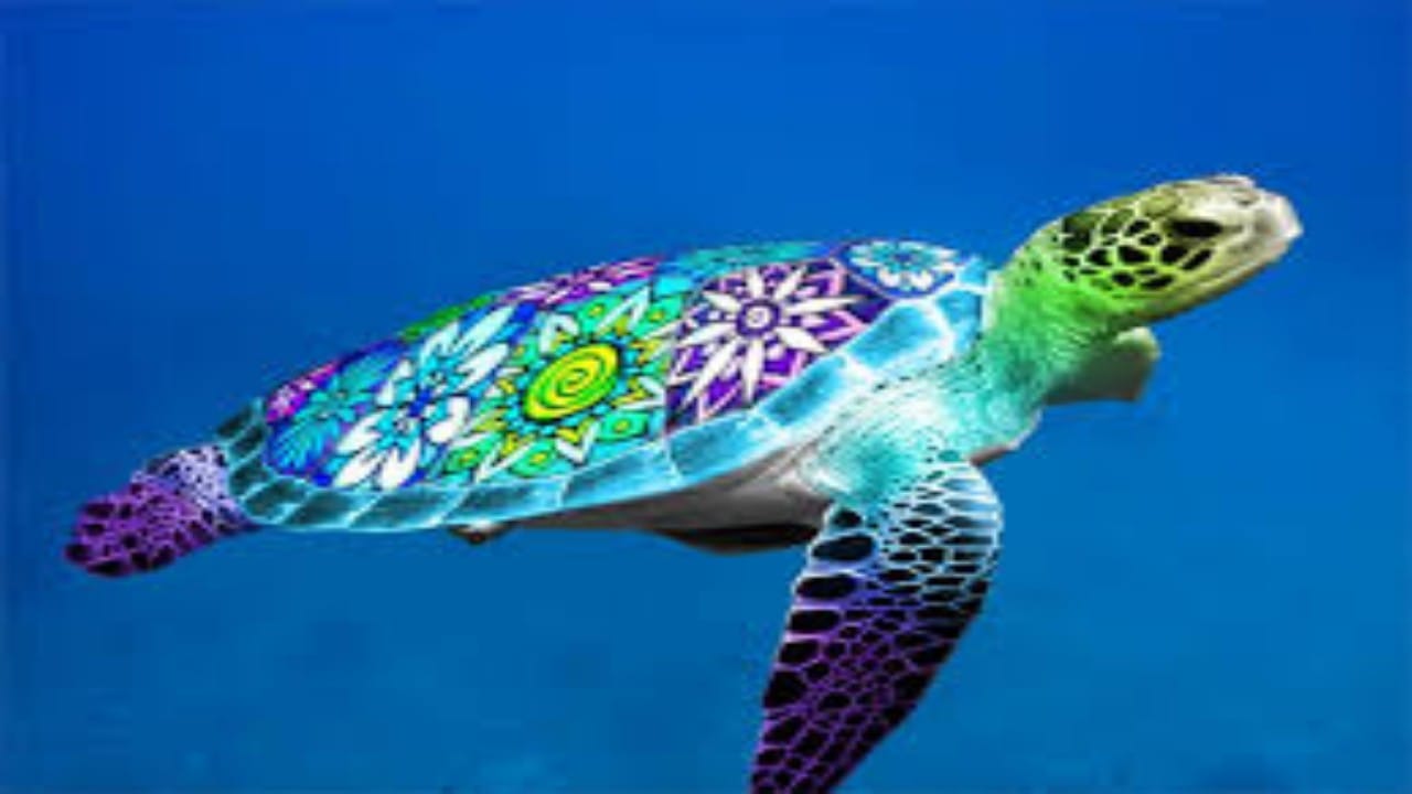 6 منافع للبيئة من وجود السلاحف البحرية