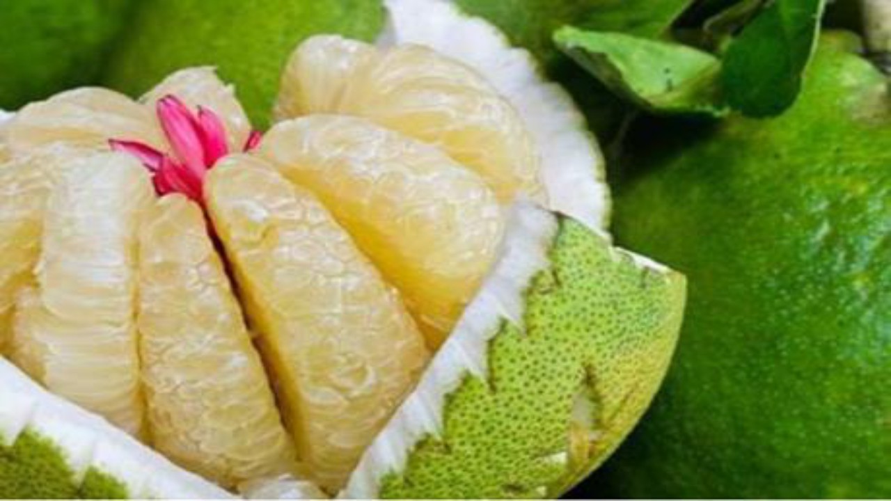 فوائد صحية وجمالية لفاكهة البوملي