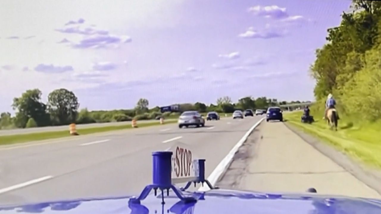 رعاة بقر أمريكيون يطاردون بقرة هاربة على طريق سريع .. فيديو