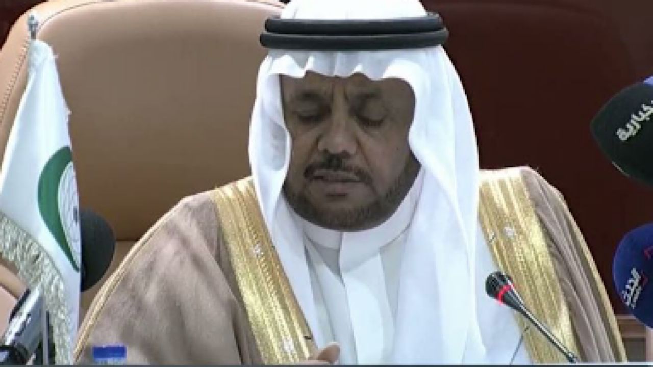 &#8220;السحيباني&#8221;: المملكة تسعى لوقف التصعيد وتوحيد الصف في السودان الشقيق (فيديو)