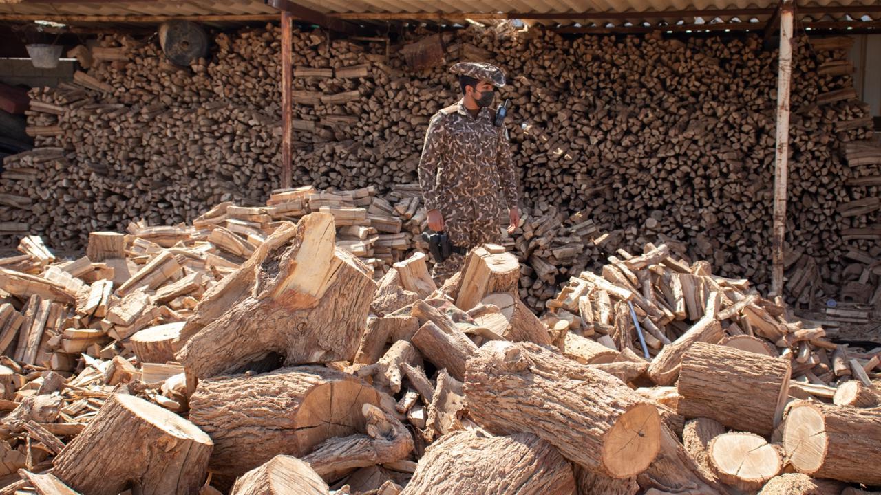 ضبط 27 مخالفًا لنظام البيئة لاستخدامهم حطبًا وفحمًا محليين في الأنشطة التجارية