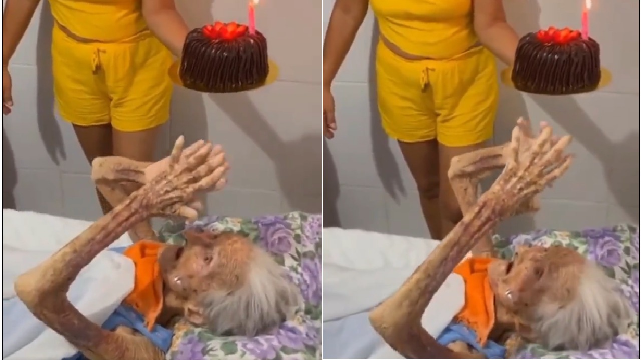 معمرة تحتفل بعيد ميلادها الـ 115 .. فيديو
