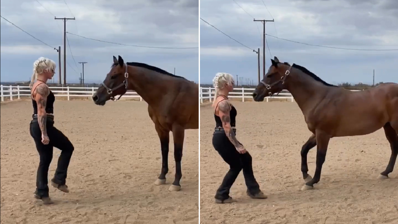 حصان يقلد رقصة مدربته بمهارة عالية &#8211; فيديو