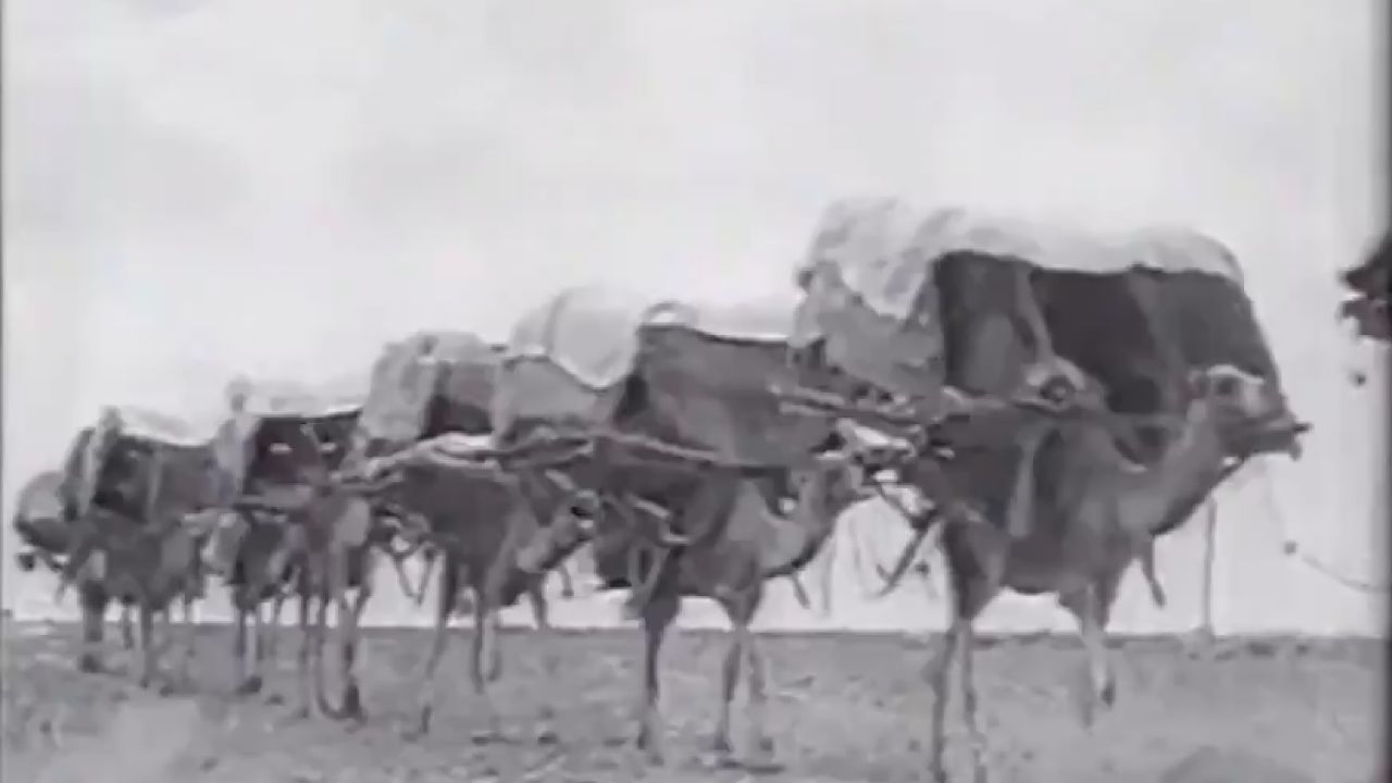 مقطع نادر لـ مكة المكرمة‬⁩ والشعائر المقدسة أثناء موسم الحج قبل 86 عام .. فيديو