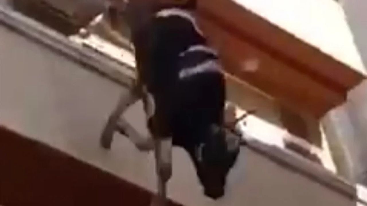سقوط عجل من أعلى سطح منزل هربًا من التضحية به في العيد بمصر .. فيديو
