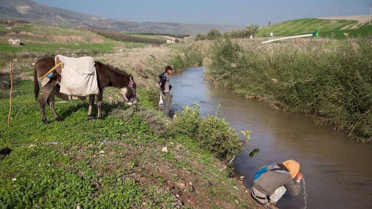 مزارعون أردنيون يتجهون إلي تطبيقات الهاتف لمساعدتهم في الزراعة .. فيديو