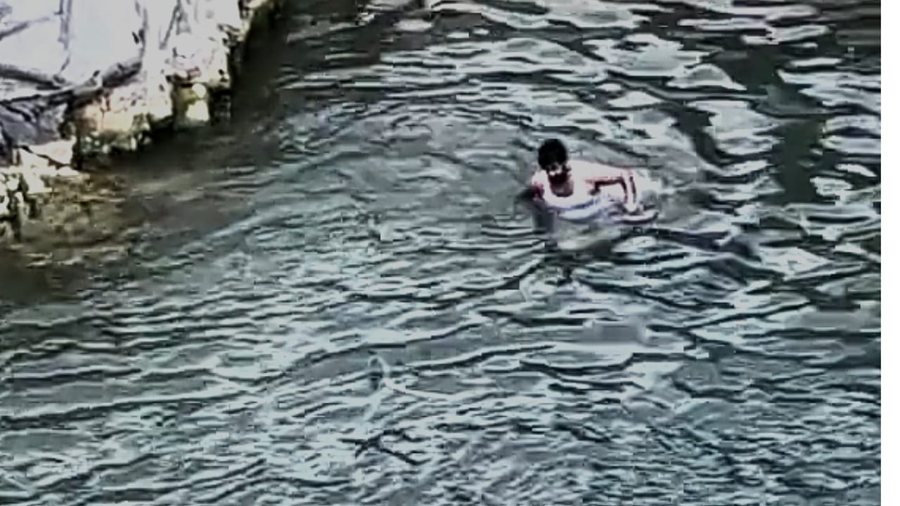 شاب يمسك بثعبان أثناء ممارسته السباحة في الباحة .. فيديو