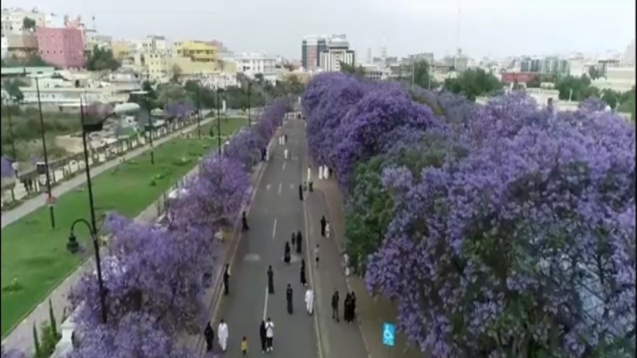 الأمير تركي بن طلال: موسم صيف عسير وجهة سياحية عالمية .. فيديو