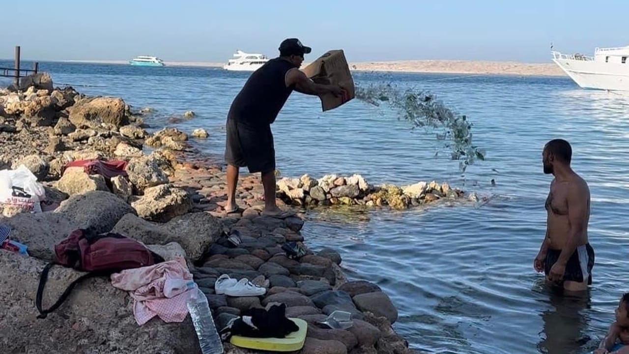 القبض على شاب مصري يلقي زجاج في البحر لإصابة السائحين