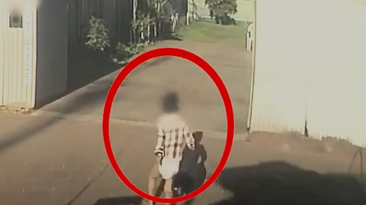 سائق شاحنة يغلق الطريق لإنقاذ طفل في مدينة أديلايد الأسترالية .. فيديو