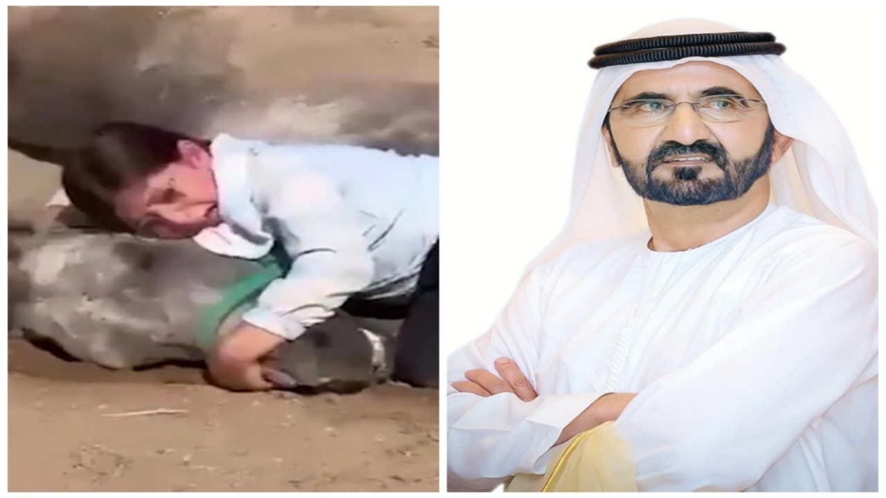 نائب رئيس الإمارات يهدي مجموعة خيول لطفلة عراقية تأثرت بفقدان حصانها