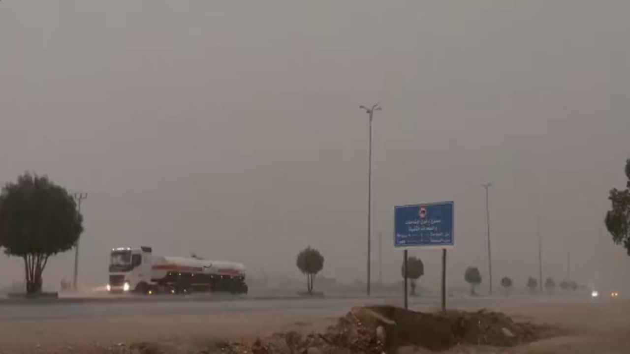 أمطار رعدية على محافظة بارق..فيديو