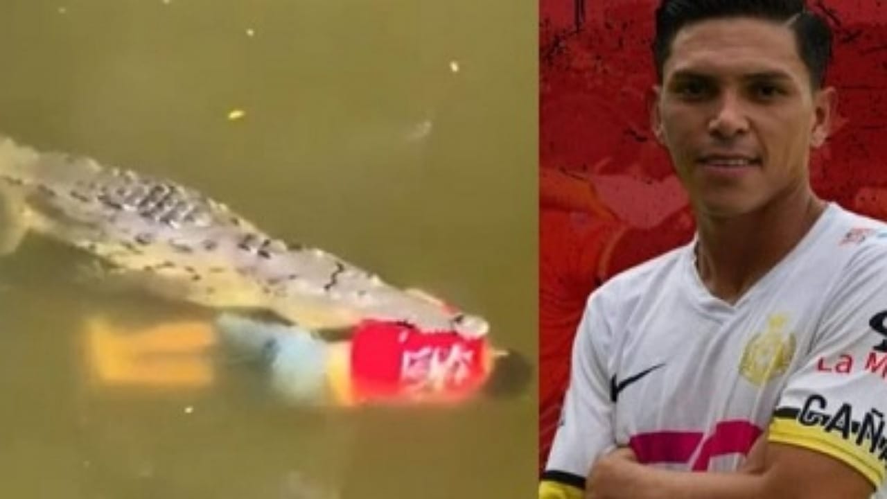 تمساح يقتل لاعب كرة قدم &#8211; فيديو