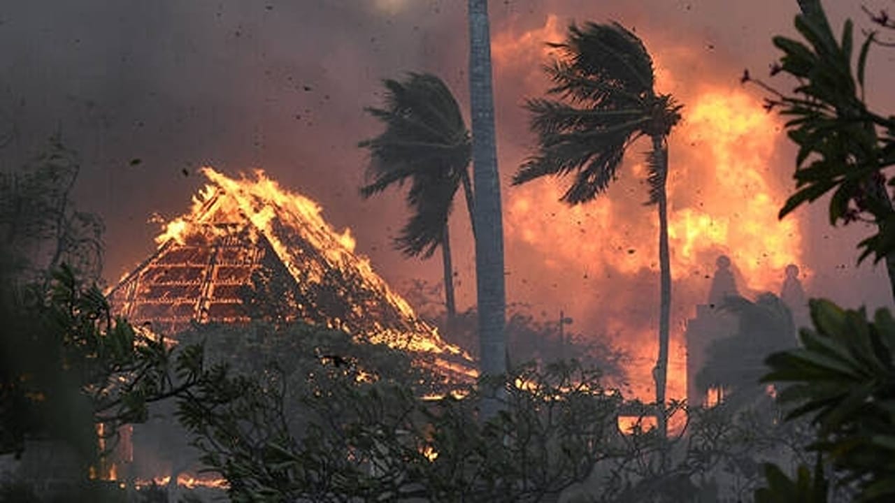 ارتفاع حصيلة ضحايا حرائق الغابات في جزر هاواي إلى 80 قتيلا