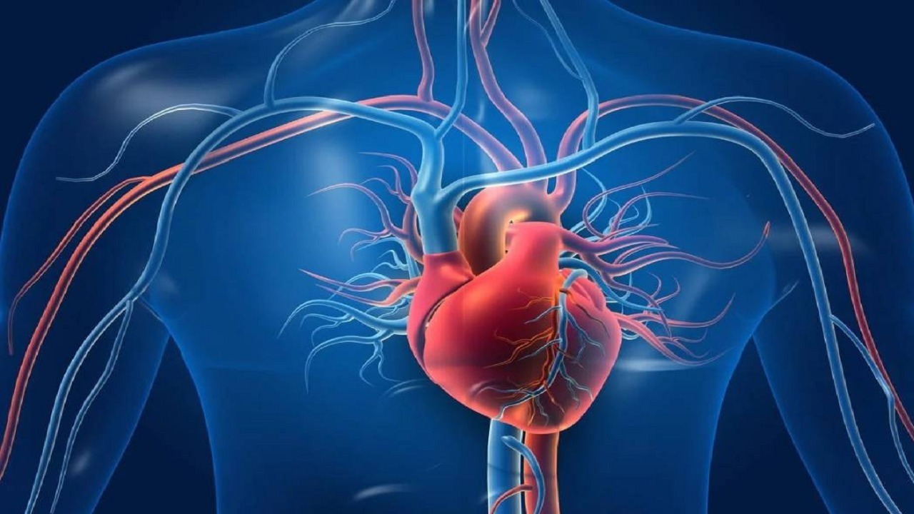اكتشاف طريقة جديدة لتشخيص أمراض القلب