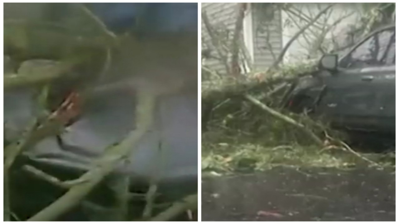 لحظة سقوط شجرة كبيرة فوق سيارة نتيجة لإعصار هيلاري.. فيديو